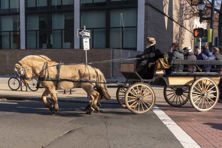 New Haven, CT Holiday Carriage rides