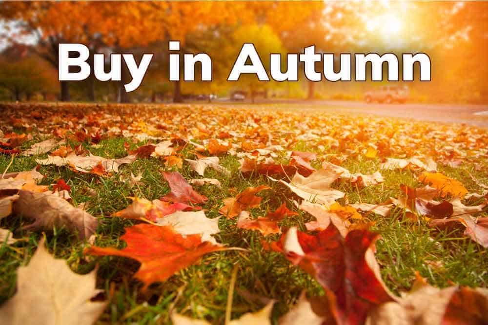 a lawn covered in autumn leaves with the words, Buy in Autumn