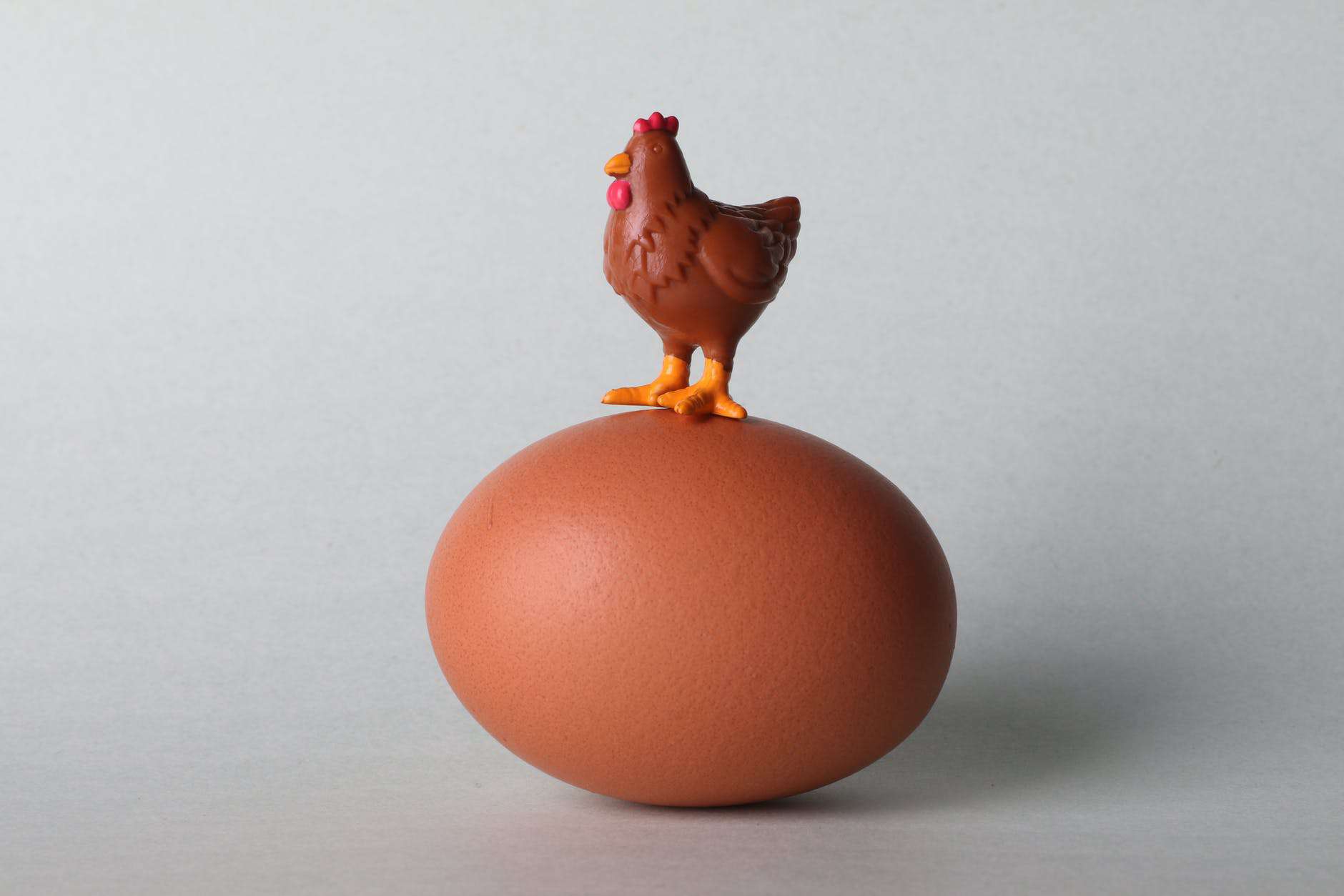 Tiny toy chicken placed on top of an egg