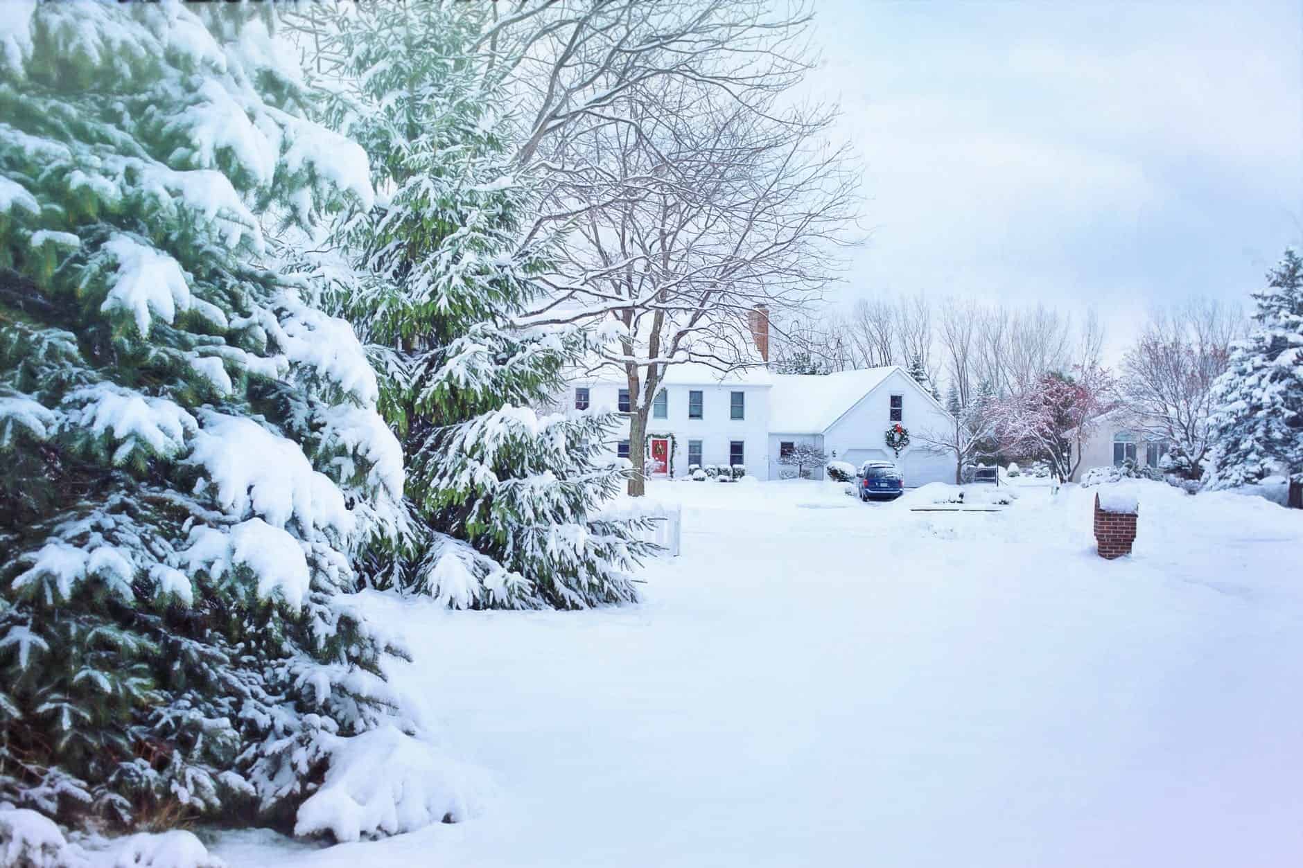 Snow filled pine trees, a snow filled yard, and a house surrounded by snow