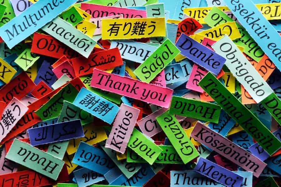 many different pieces of paper that say thank you in different languages.